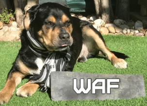 Le WAF, chien de garde de vos sites