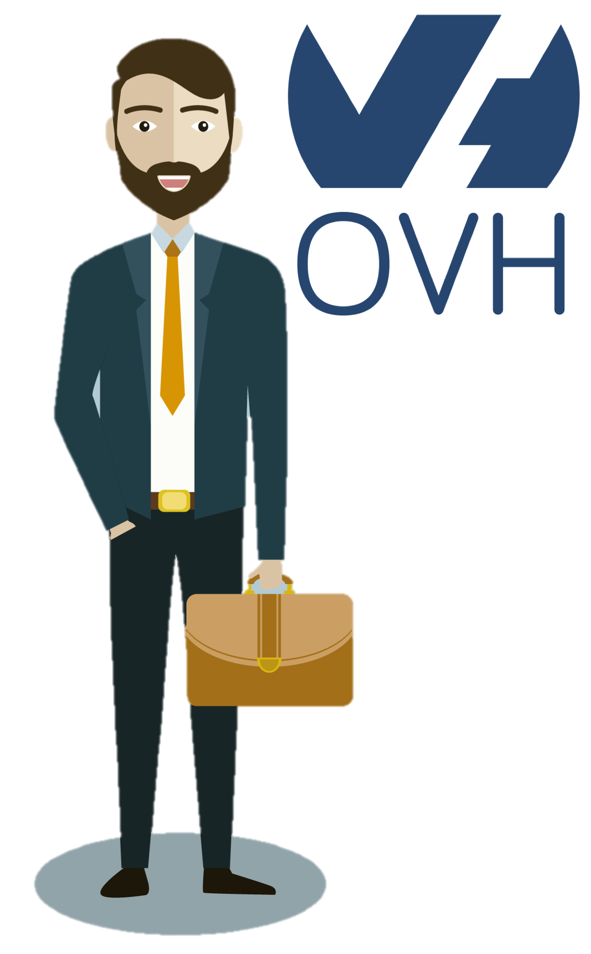 L'avis de OVH